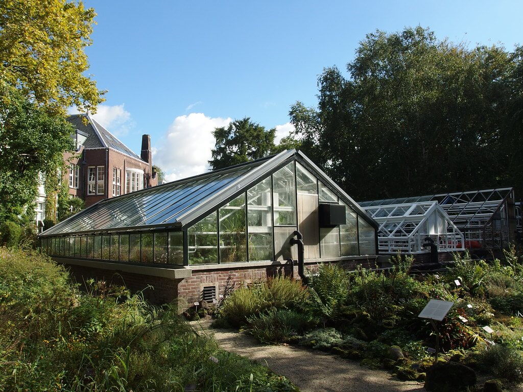 Kas-in-Hortus-Botanicus-in-Amsterdam